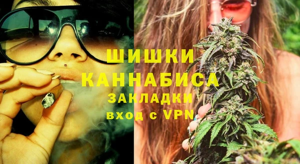 дмт Кинешма