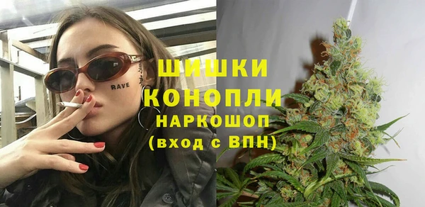 дмт Кинешма