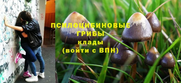 тгк Киреевск