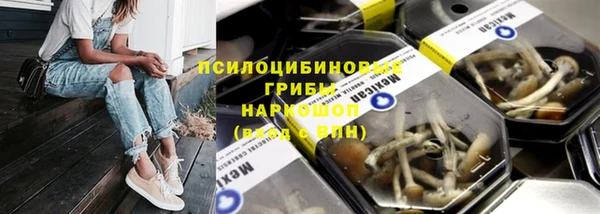 прущая мука Козловка