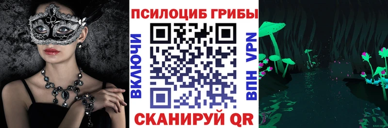 Купить где  Лесной  Галлюциногенные грибы мицелий 